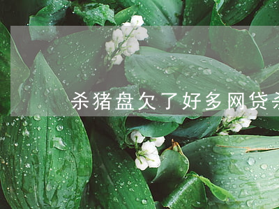 杀猪盘欠了好多网贷(杀猪盘欠了好多网贷)