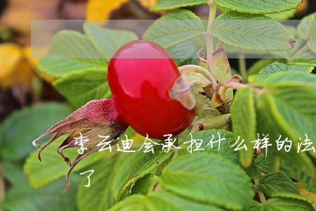 李云迪会承担什么样的法律后果(李云迪怎么了)