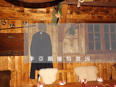 李亞鵬離婚原因