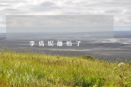 李倩妮離婚了