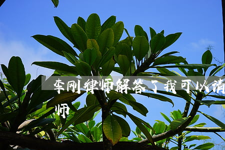 李刚律师解答了我可以请律师吗(请问一下律师)
