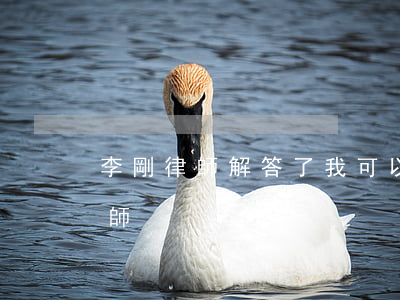 李剛律師解答了我可以請律師嗎(請問一下律師)