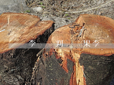 李啟銘判決結果(李啟銘案件分析)