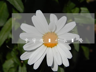 李守俊為什么離婚
