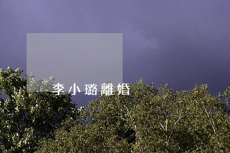 李小璐離婚沒