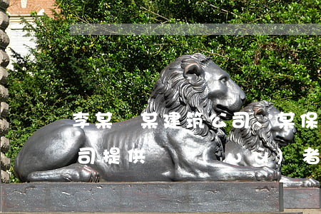 李某與某建筑公司、某保險(xiǎn)公司提供勞務(wù)者受害責(zé)任糾紛一案