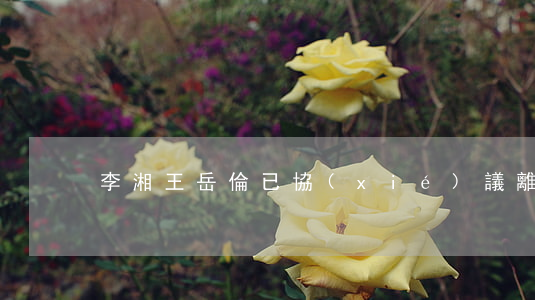 李湘王岳倫已協(xié)議離婚