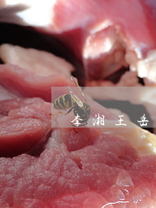 李湘王岳倫離婚了嗎