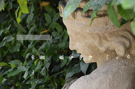 李湘離婚分多少財(cái)產(chǎn)