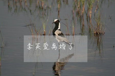 李英爱离婚了