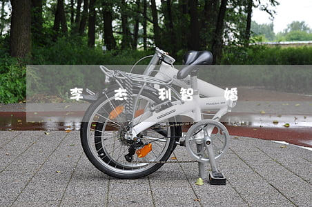 李連杰與利智離婚