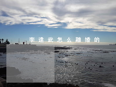 李達武怎么離婚的