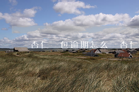 杏仁錢包逾期怎么辦(杏仁錢包上征信嗎)