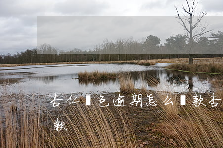 杏仁錢包逾期怎么還款(杏仁錢包逾期怎么還款)