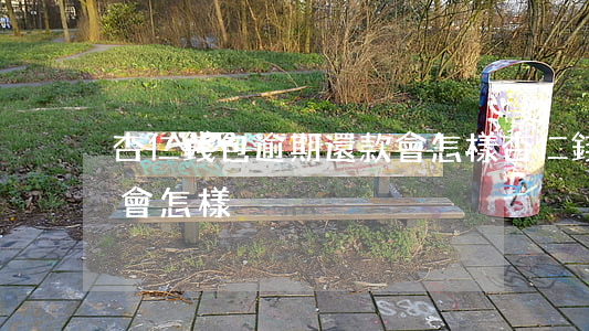 杏仁錢包逾期還款會怎樣(杏仁錢包逾期還款會怎樣)