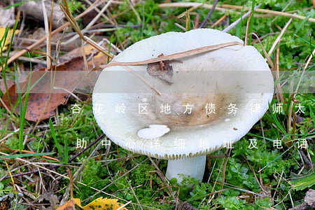 杏花岭区地方债务律师(太原杏花岭区法律援助中心详细地址及电话)