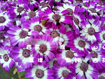 杏花嶺辦理債務(wù)債權(quán)案律師誰家好-杏花嶺律師事務(wù)所地址