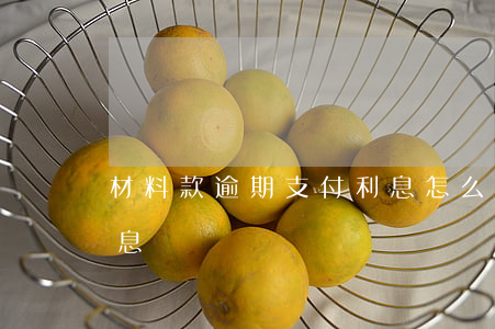 材料款逾期支付利息怎么算(款項逾期支付利息)