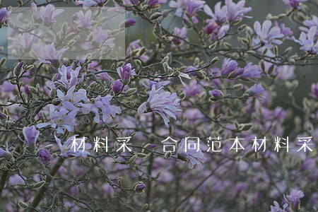 材料采購合同范本,材料采購合同范本免費 材料采購合同范本,材料采購合同范本免費