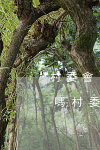 村委會(huì)可以制定法規(guī)嗎(村委會(huì)制定的村規(guī)民約屬于法的范疇嗎)