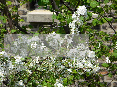 村委會(huì)與施工方合同糾紛如何處理(開發(fā)商與村委會(huì)合同有效嗎)