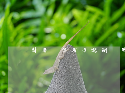 村委會信用卡逾期證明 銀行卡逾期情況說明