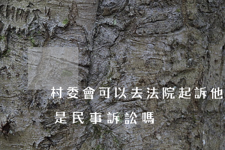 村委會可以去法院起訴他們嗎(村民告村委會是民事訴訟嗎)