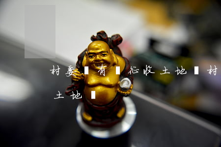 村委會有權征收土地嗎(村委會有權征收集體土地嗎)