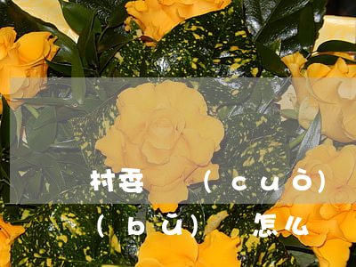 村委會錯(cuò)誤發(fā)放征地補(bǔ)償怎么辦