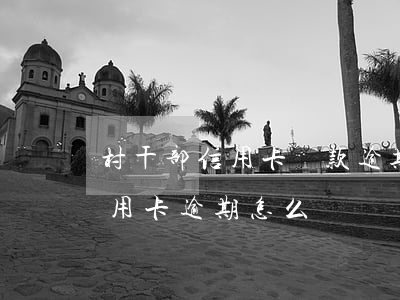 村干部信用卡貸款逾期怎么辦 銀行貸款有信用卡逾期怎么辦