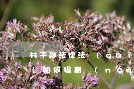 村干部法律法規(guī)培訓(xùn)(如何提高農(nóng)村基層干部的政策法規(guī)修養(yǎng))