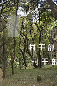 村干部職務(wù)侵占10萬元判多少年(村干部職務(wù)侵占罪四個(gè)案例)