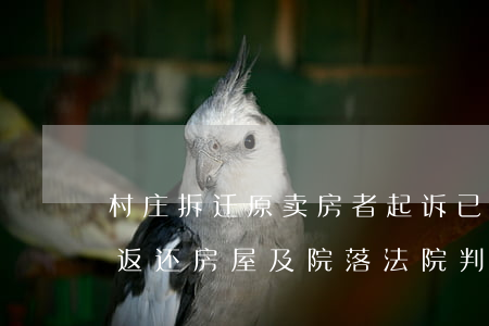 村庄拆迁，原卖房者起诉已居住6年的购房者返还房屋及院落！法院判了…