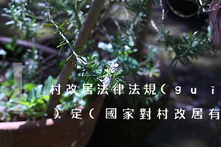 村改居法律法規(guī)政策規(guī)定(國家對村改居有什么規(guī)定)