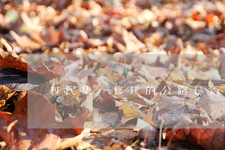 村民集資修建的公路是否屬于交通管制的范圍?