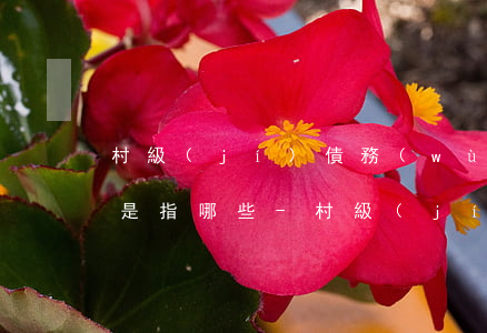 村級(jí)債務(wù)逾期無法償還的是指哪些-村級(jí)債務(wù)逾期無法償還的是指哪些行為