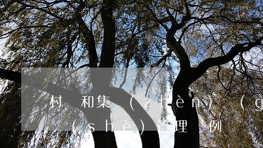 村莊和集鎮(zhèn)規(guī)劃建設(shè)管理條例