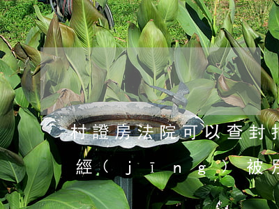 村證房法院可以查封拍賣嗎(我查封的房子已經(jīng)被別的法院拍賣了怎么辦)