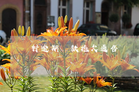 村逾期貸款拖欠通告(網貸逾期欠款通告函)