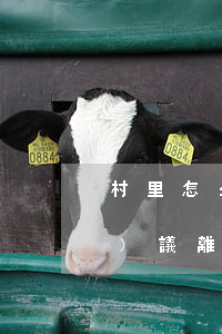 村里怎么寫離婚協(xié)議(協(xié)議離婚村委會知道嗎)