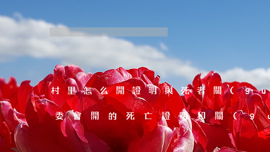 村里怎么開證明與死者關(guān)系(村委會開的死亡證明和關(guān)系)