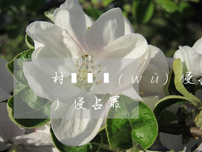 村長職務(wù)侵占退錢(村長職務(wù)侵占罪)
