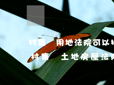 村集體用地法院可以拍賣嗎(農(nóng)村集體土地房屋法院可以拍賣嗎)
