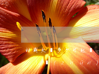 村霸欠錢多少可起訴-村霸立案標(biāo)準(zhǔn)