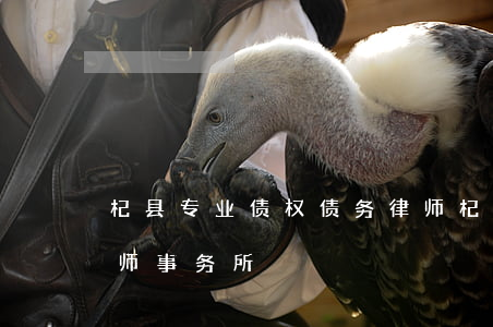 杞县专业债权债务律师 杞县专业债权债务律师事务所