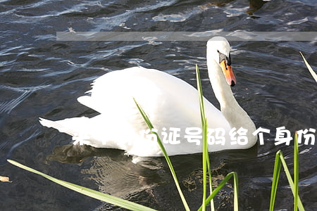 来个身份证号码(给个身份证号码带名字)