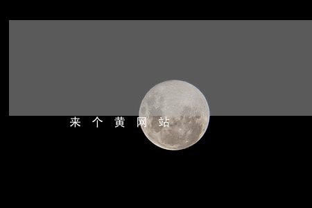 来个黄网站