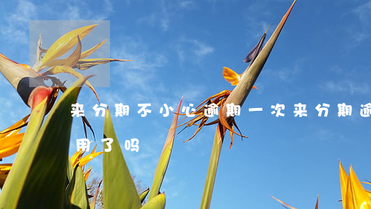 来分期不小心逾期一次 来分期逾期一次不能用了吗