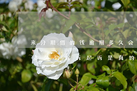 来分期借的钱逾期多久会被起诉(来分期逾期多久会起诉?起诉是真的吗)