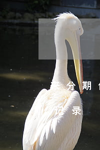 来分期借钱还款记录怎么查（来分期借钱还款记录）